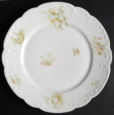 Schleiger 1169-2 by Haviland