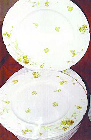 Schleiger 835-1 by Haviland