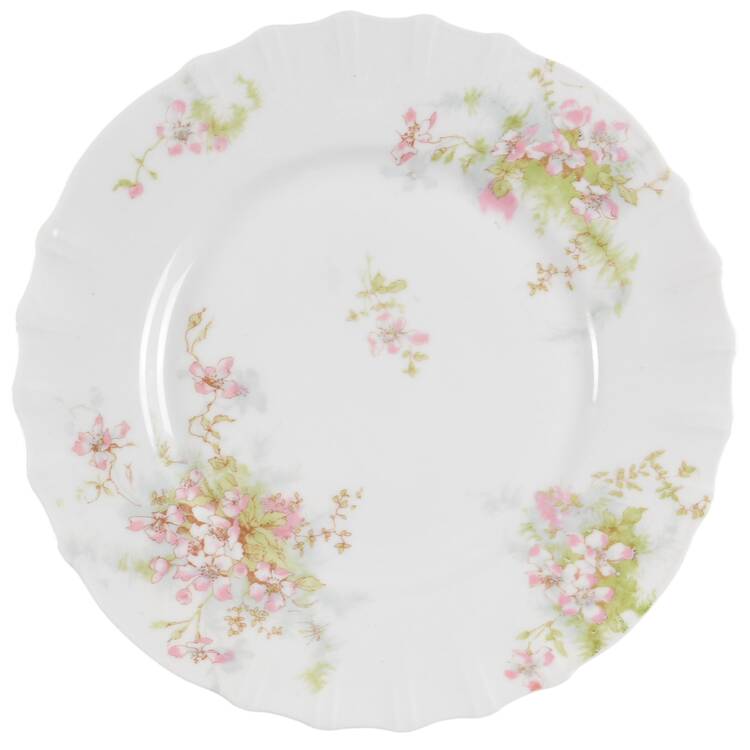 Schleiger 146-10 by Haviland