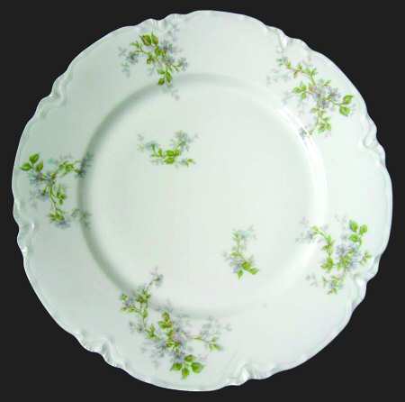 Schleiger 230-4 by Haviland