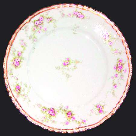 Schleiger 149-13 by Haviland