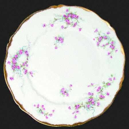 Schleiger 342-11 by Haviland