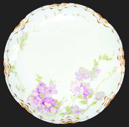 Schleiger 1174-1 by Haviland