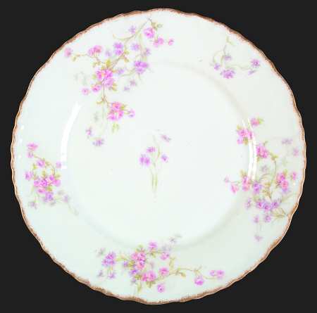 Schleiger 309-8 by Haviland
