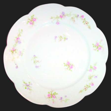Schleiger 1244-6 by Haviland