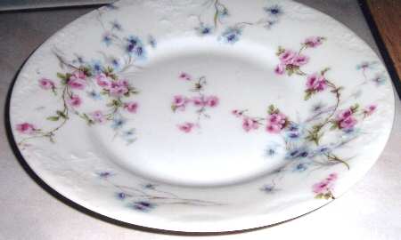 Schleiger 309-9 by Haviland