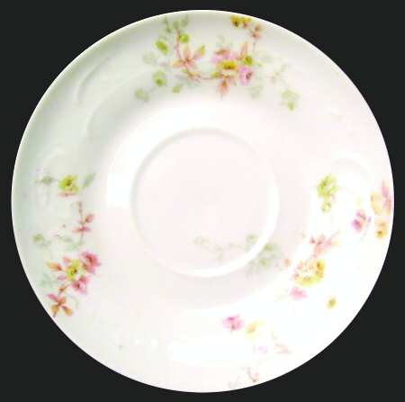 Schleiger 339-13 by Haviland