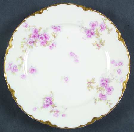 Schleiger 1173-5 by Haviland