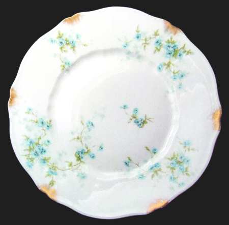 Schleiger 150-17 by Haviland