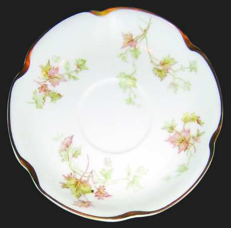 Schleiger 60-1 by Haviland