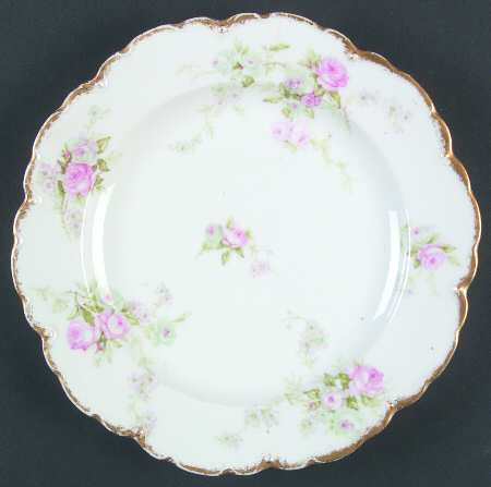 Schleiger 137-6 by Haviland