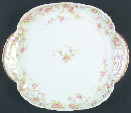 Schleiger 142-2 by Haviland