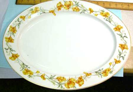 HC998 17" Oval Serving Platter