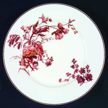 Schleiger 77-15 by Haviland
