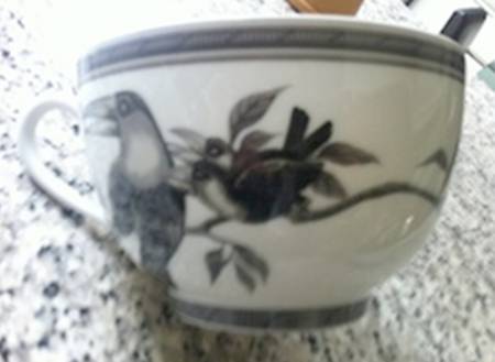 Estampe de Toucans Flat Cup