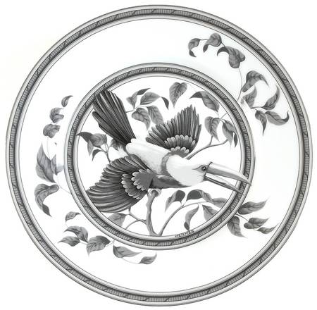 Estampe de Toucans Dessert/Pie Plate