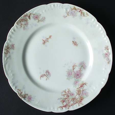 Schleiger 160-4 by Haviland