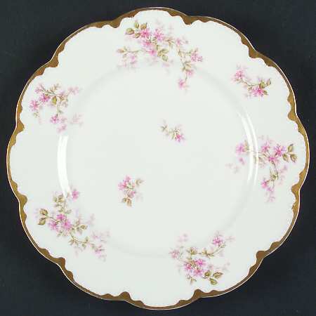 Schleiger 1181-1 by Haviland