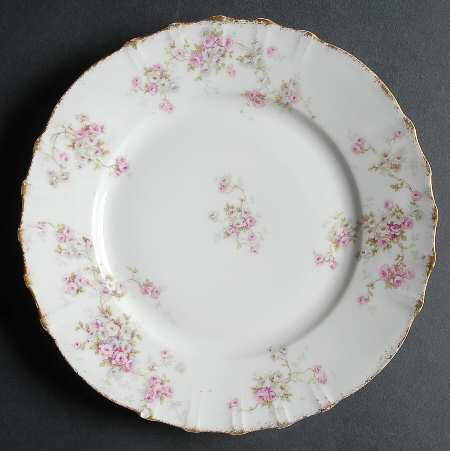 Schleiger 320-10 by Haviland