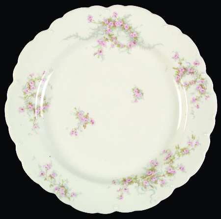 Schleiger 342-13 by Haviland