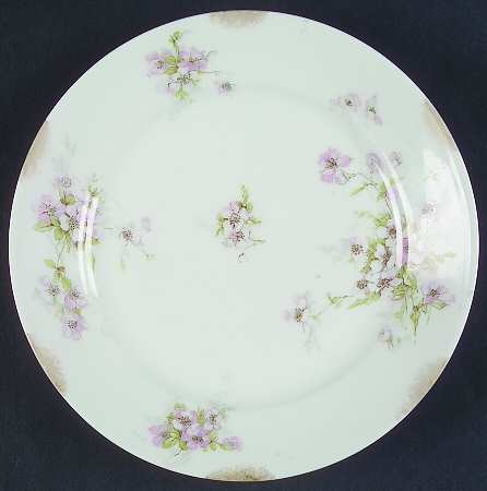 Schleiger 162-10 by Haviland
