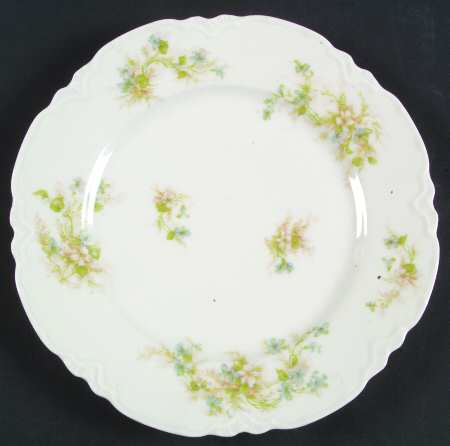 Schleiger 231-1 by Haviland