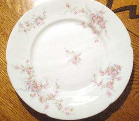 Schleiger 342-14 by Haviland