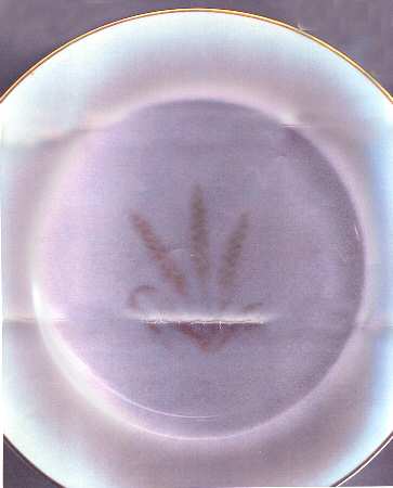02717 Dinner Plate