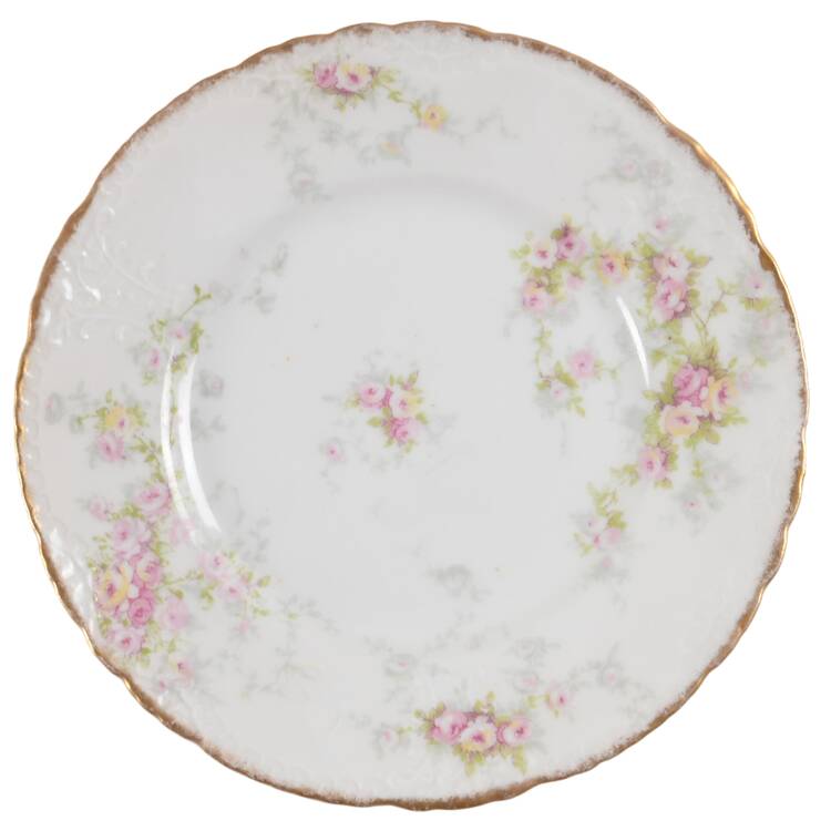 Schleiger 149-14 by Haviland
