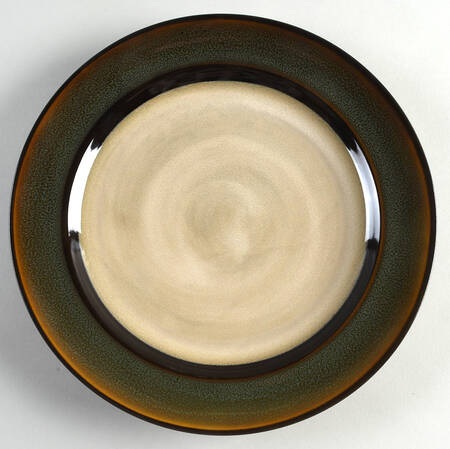 Rave Stripe Dinner Plate