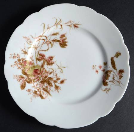 Schleiger 77-16 by Haviland