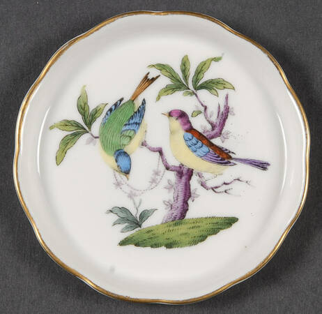 Rothschild Bird (Pastel Colors) Coaster