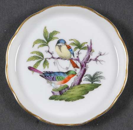Rothschild Bird (Pastel Colors) Coaster