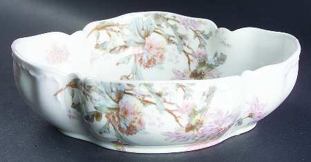 Schleiger 86i by Haviland