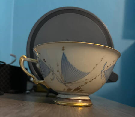 HC1118 Footed Cup & Saucer Set