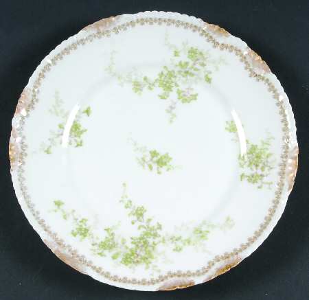Schleiger 834-11 by Haviland