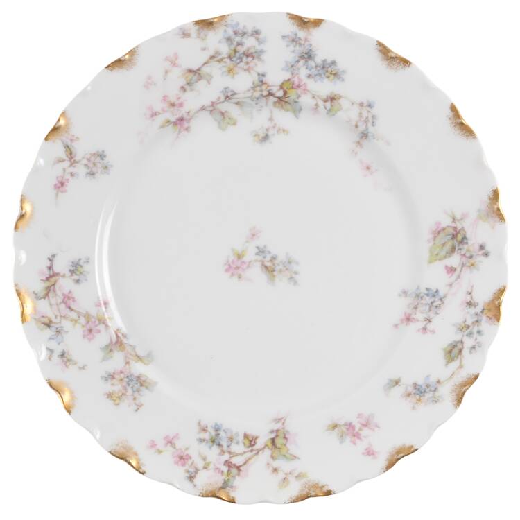 Schleiger 232-3 by Haviland