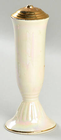 HLC2593 Salt Shaker