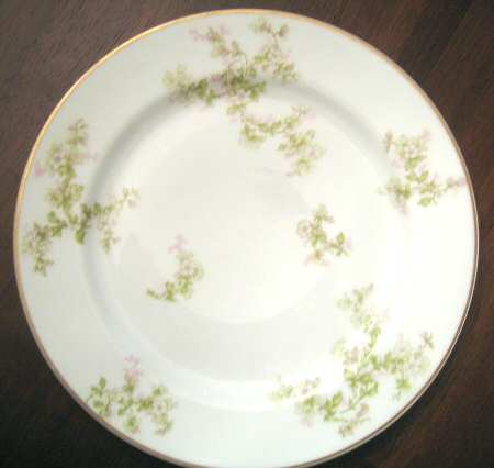 Schleiger 61-5 by Haviland