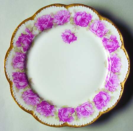 Schleiger 55-22 by Haviland