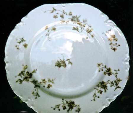 Schleiger 670-8 by Haviland