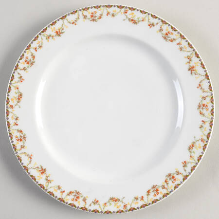 Schleiger 544-2 by Haviland