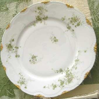 Schleiger 834-12 by Haviland