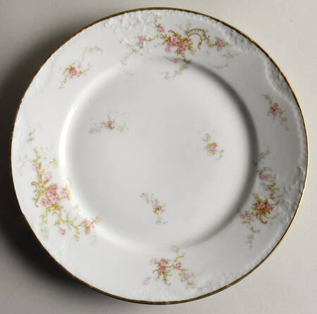Schleiger 318-10 by Haviland