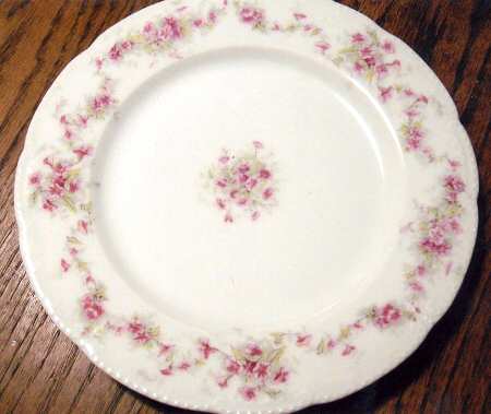 Schleiger 341-5 by Haviland