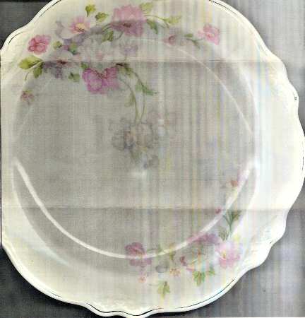 Fluffy Rose (Gold Trim) Luncheon Plate
