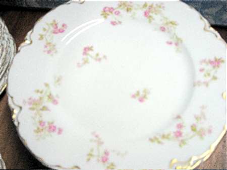 Schleiger 242-1 by Haviland