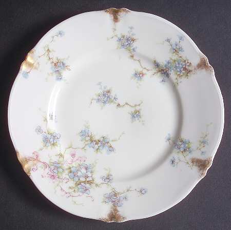Schleiger 155-21 by Haviland