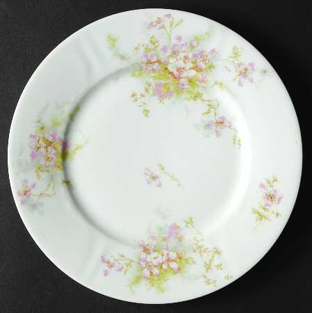 Schleiger 146-12 by Haviland