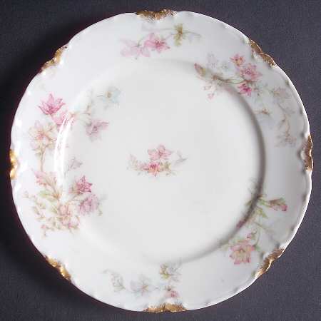 Schleiger 91-7 by Haviland